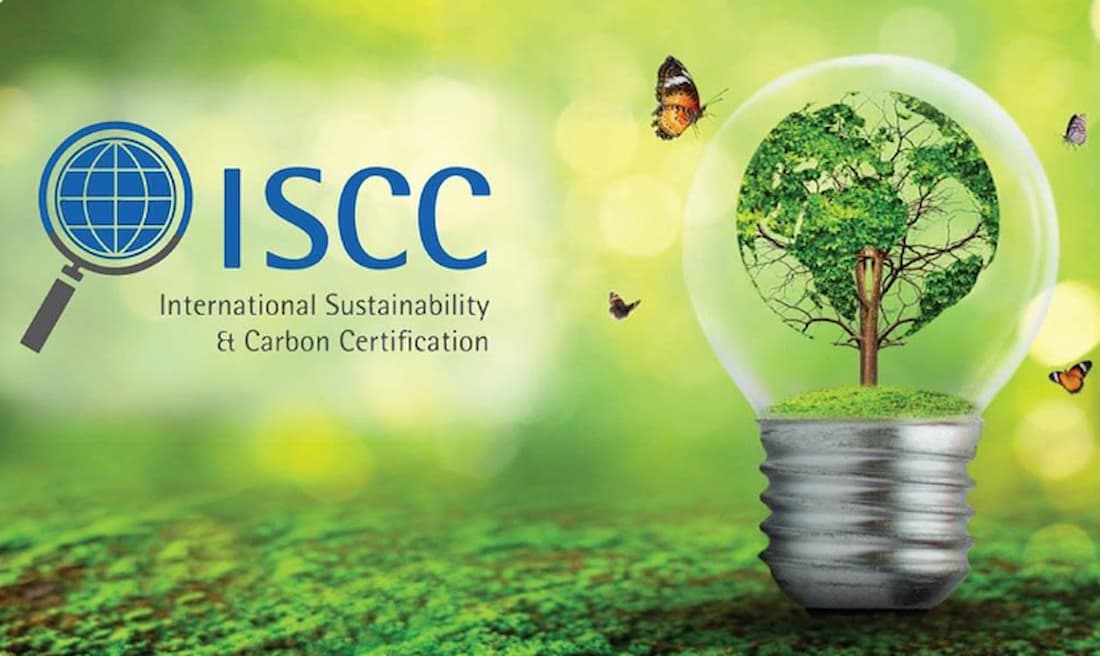 Vật liệu sinh học là gì?